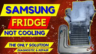 Samsung Fridge Not Cooling