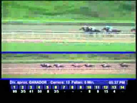 6TA VALIDA 5Y6 DOM 05 FEBRERO 2012