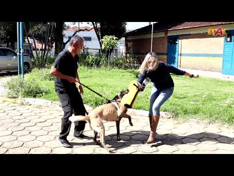 O glamour do Jornalismo