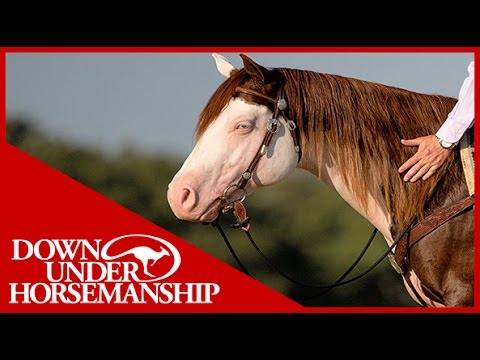 Clinton Anderson Presents: Titan a Legend in the Making, Lesson 7, Part 3 - Downunder Horsemanship