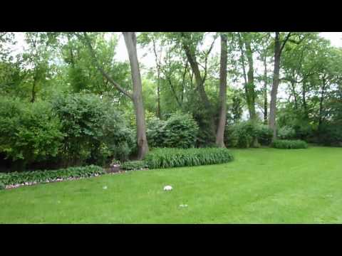 An Indian Hill Estates back yard in Wilmette