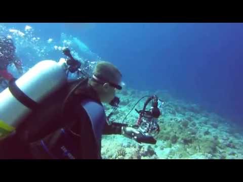 Use of Reef Hook   Palau   October 2014