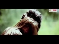 Lakshmi Rai And Manjari Phadnis Thoppul Show Big Coverge