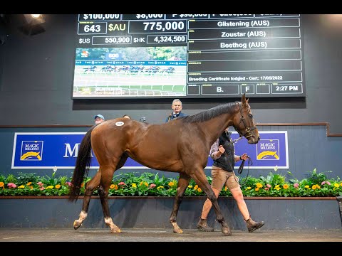 2022 Magic Millions GC National Broodmare Sale - Lot 643