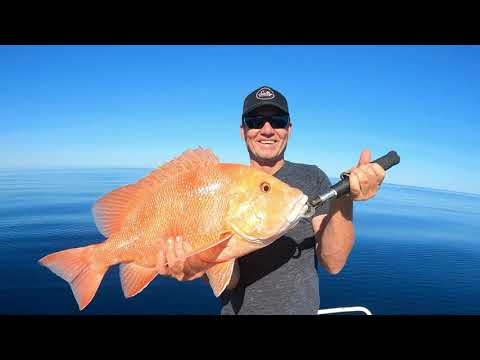 FISHING FOR BIG RED EMPEROR | WHALES | SEA SNAKES | CATCH AND COOK WITH THE FAMILY!