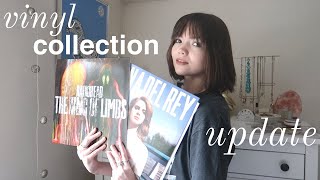 vinyl collection update (winter 2024)