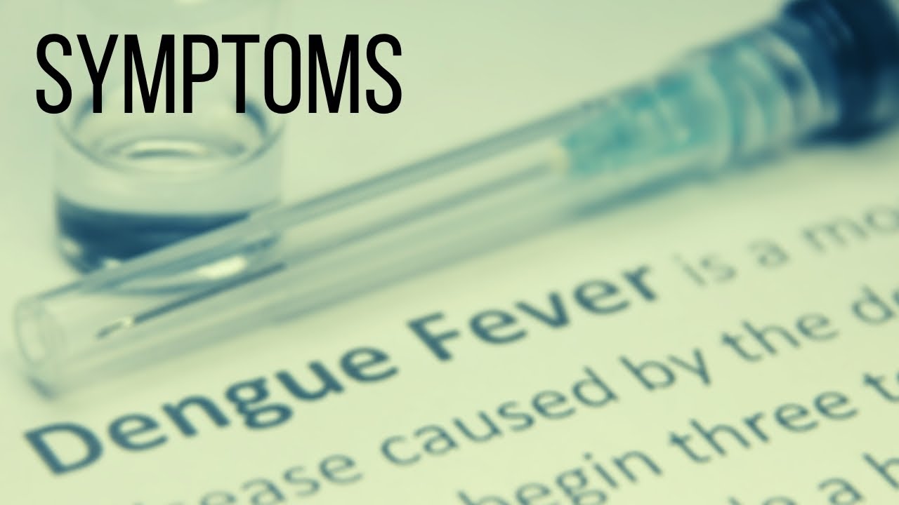 Know The Warning Signs Of Severe Dengue GIS