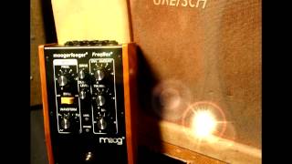 Video thumbnail for moogfooger MF-107 FreqBox by musictoyznetwork rasch