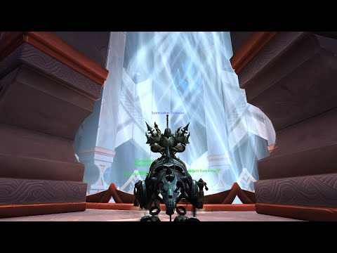 Shadow Priest vs Elder Longbranch Layer 8 Floor 18 Melee Edition