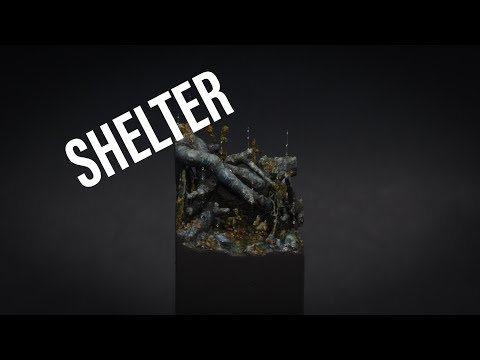 Shelter