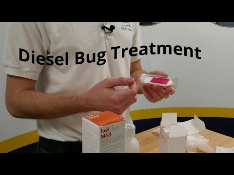 How to treat and test for the diesel bug