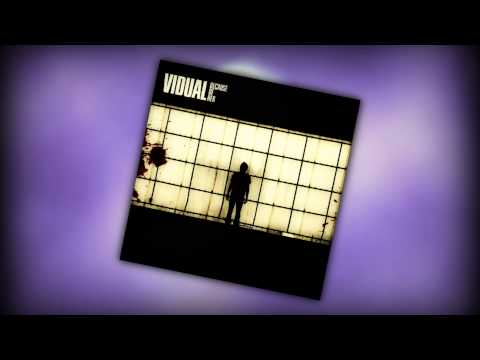 Vidual - My Inspiration
