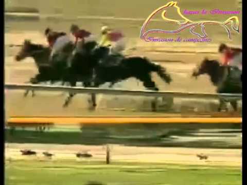 VALENCIA 11 CARRERA, VIERNES 05 DE JUNIO DEL 2015