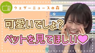 愛兎の名前が決まりました。わたげちゃんを見て!ネザーランドドワーフ【戸北美月】【切り抜き】ウェザーニュースの森【ウェザ森】