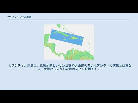 デンドロシグナ アルボレア