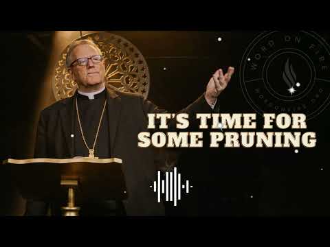 It’s Time for Some Pruning | | Bishop Robert Barron Sermons