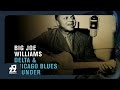 Big Joe Williams - Stack O' Dollars