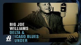 Big Joe Williams - Stack O' Dollars