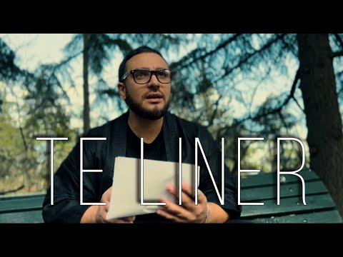 Vahe Aleksanyan - Te Liner \\ 2022\\2023