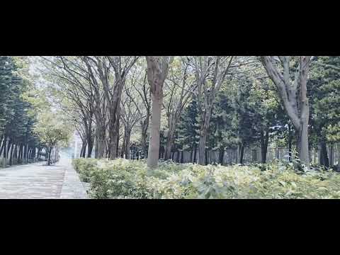 Nokia 5.4 Cinema Mode Testing