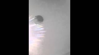 Acoustic cover &quot;Huxley - I want you&quot;