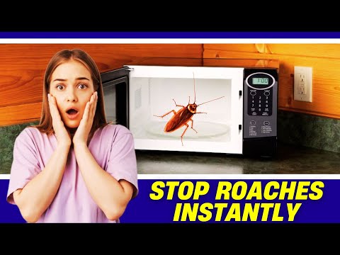 👀 Roaches in Your Microwave? Get Rid of Them FAST! 😱