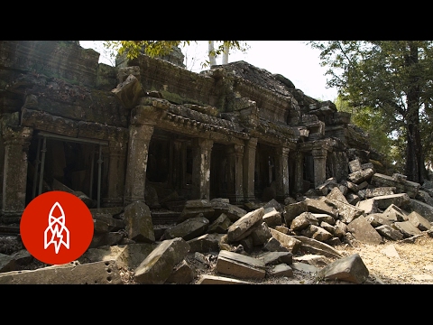 樹木の霊廟の中への旅 (Journey Inside the Ghostly Temple of Trees)