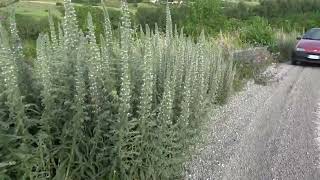 strade-dimenticate-dalla-provincia-di-avellino