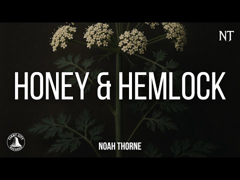 Noah Thorne - Honey & Hemlock (Official Lyric Video)