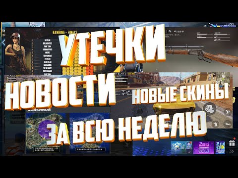 Утечки. Новинки. Новости Киберспорта Пубг Мобайл. За Последнюю Неделю