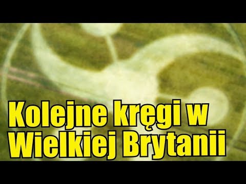 W Wielkiej Brytanii zlokalizowano kolejne kręgi w zbożu