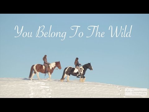 You Belong To The Wild