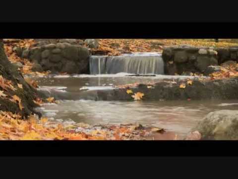 Relax to the Bible - Psalm 18 - Special Edition