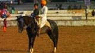 Horse Training Ground, Pushkar