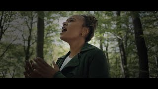 Musik-Video-Miniaturansicht zu Prayed Up Songtext von Emeli Sandé