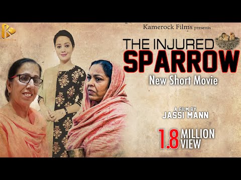 THE INJURED SAPPROW MOVIE BIG BANNER