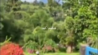 Download lagu (Selamat Pagi Dunia Tipu-Tipu) || story wa mp3 Download lagu (Selamat Pagi Dunia Tipu-Tipu) || story wa mp3