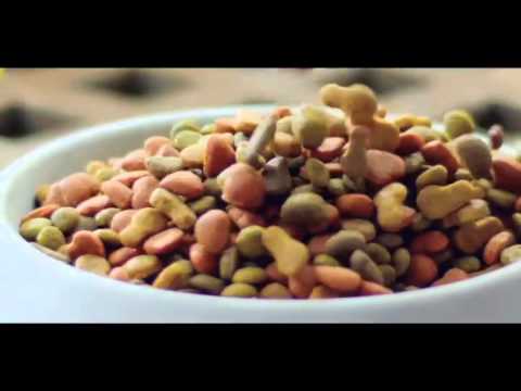 Dogui es Amor con Sabor