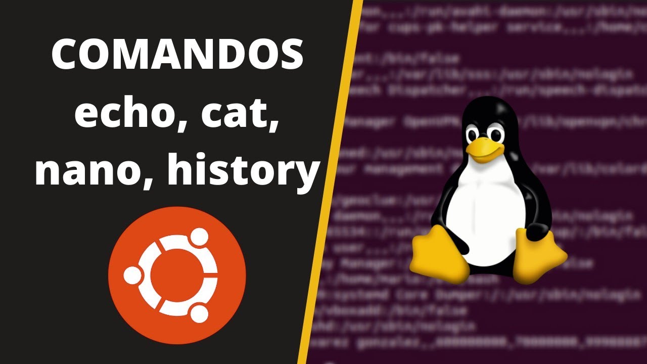 📌 Curso de LINUX | Cómo Usar los COMANDOS echo, cat, nano y history 💻