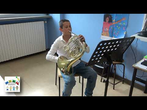 L.  V.  Beethoven,  Inno alla gioia - Riccardo Pozzi 2C