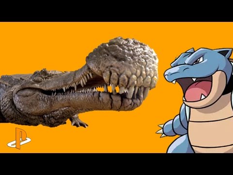 ALLUCINATING BATTLE: Blastoise vs Sarcosaur
