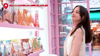 Re: [新聞] 藍委揭司法院砸3600萬拍影片 觀看最