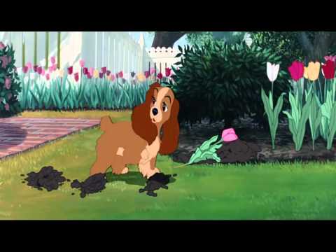 Lady and the Tramp  Ladys Morning HD