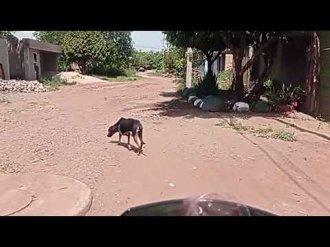 Barrio villa del rosario del municipio de Villanueva guajira 