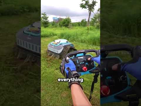 Working while having fun or having fun while working
