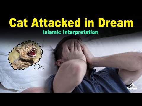 Cat Attacked in Dream - Islamic Interpretation