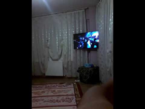 Kardesle birlikte erik dalı gevrektir