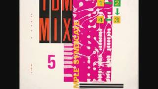 Sample Syndicate - TBM Mix 5 (Swing Beats in the House)