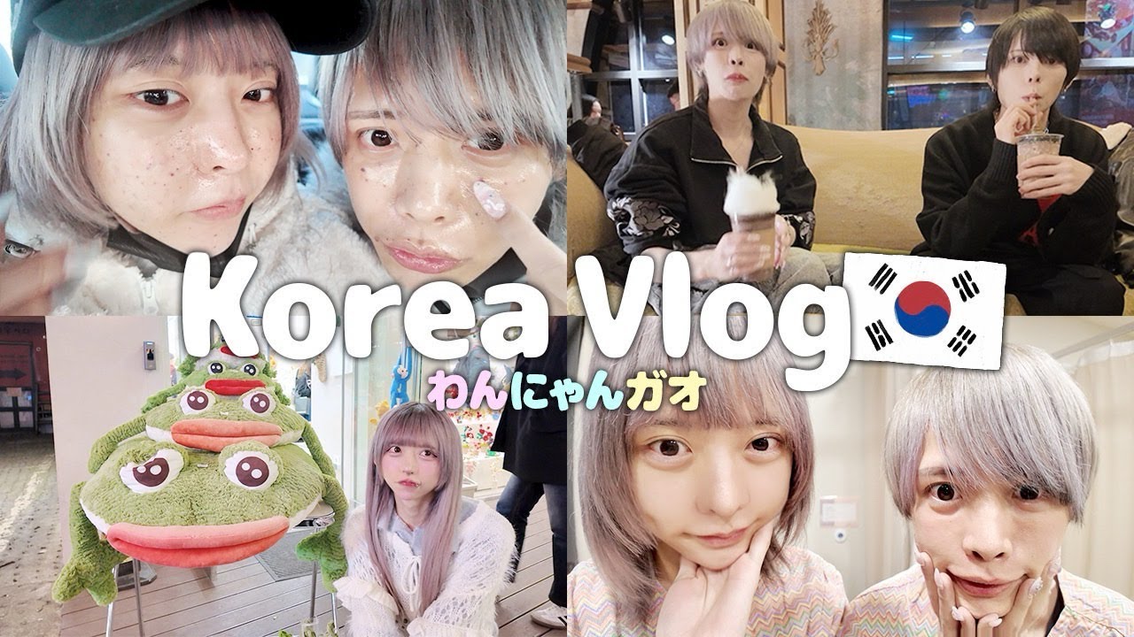 【Vlog】韓国🇰🇷Vlog〈わんにゃんガオ編〉
