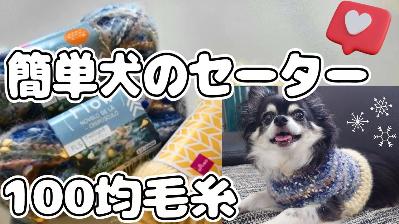 【かぎ針犬用セーター】とじはぎ無しでサイズ調整しながら編む簡単な犬用セーターの編み方